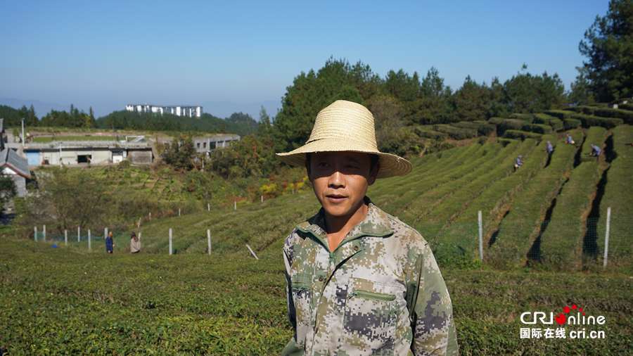 【共舞长江经济带•看高质量发展】重庆万州凤凰山农旅融合 走出“高颜值”致富路