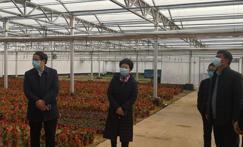 【河南供稿】新乡市凤泉区委书记高炜调研疫情防控、农业生产等工作