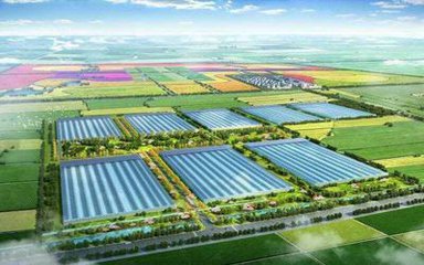 【科技-文字列表】【走遍山东-德州】德州智慧农业超级大棚颠覆你的传统农业观