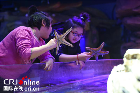 （供稿 公益列表 三吴大地南京 移动版）“莫愁旅游”开展畅游海底世界公益活动