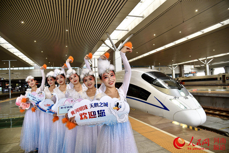 坐高铁去看天鹅 高铁旅游专列开进三门峡