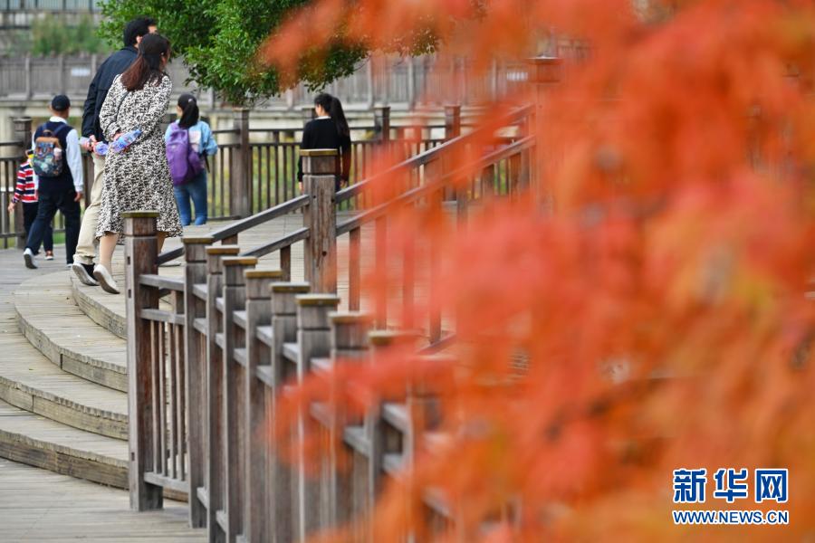 福建福州：初显斑斓