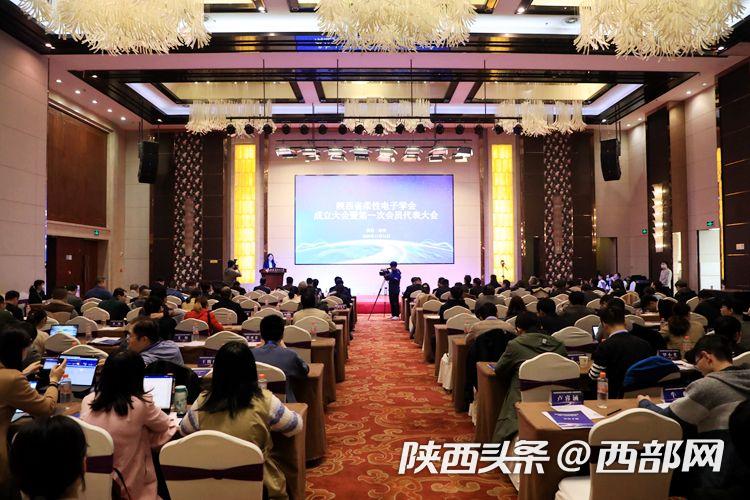 全国首个！陕西省柔性电子学会成立