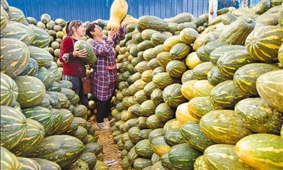 科学合理利用土地资源