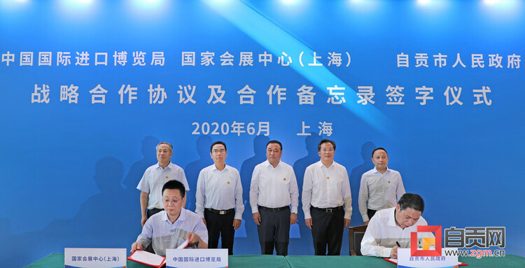 自贡彩灯点亮进博 千年盐都走向世界