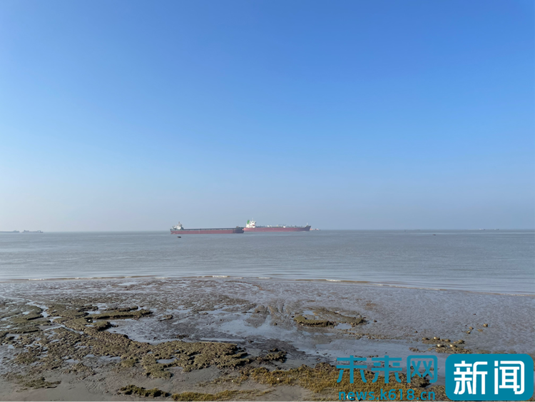 【共舞长江经济带·看高质量发展】反哺母亲河：从索取者到保护者 长江南通段生态修复之路