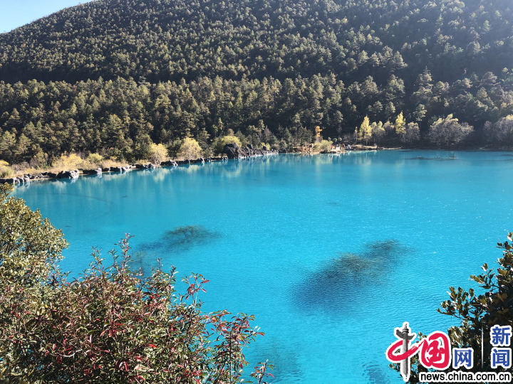 【共舞长江经济带·看高质量发展】丽江市玉龙县：特色旅游走出“靠山吃山”新路子