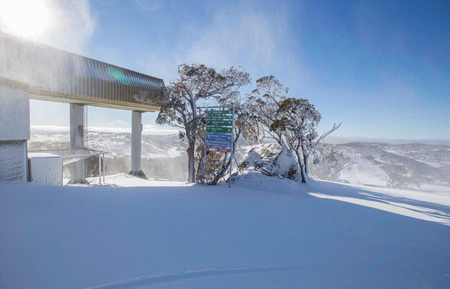 澳大利亚遭遇40年来最冷寒冬 积雪达30厘米