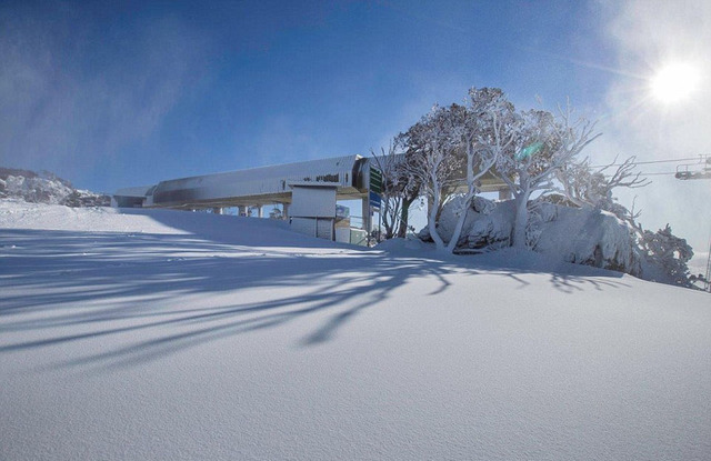 澳大利亚遭遇40年来最冷寒冬 积雪达30厘米