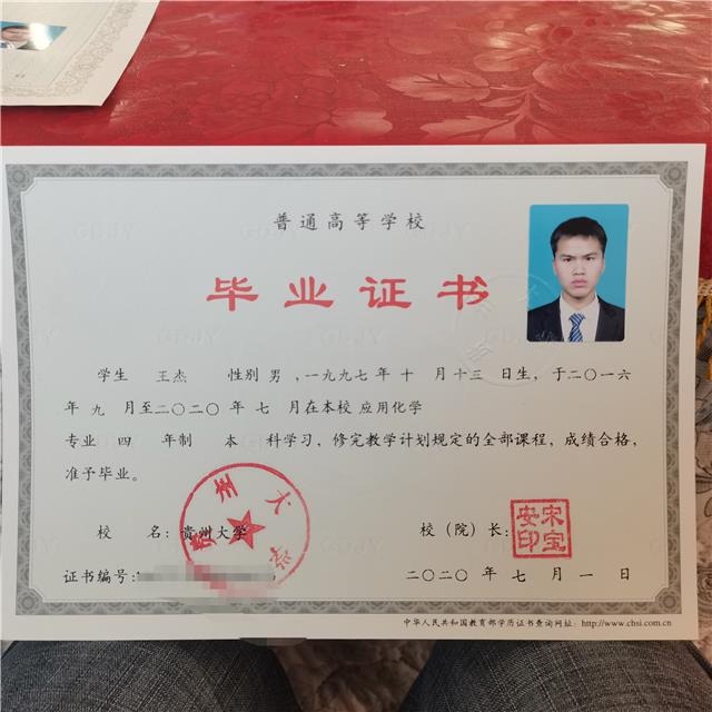 【我的脱贫故事】教育扶贫 让我的孩子飞得更高