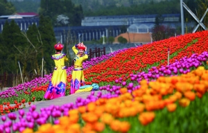 （旅游）2019 全域旅游看贵州贵阳