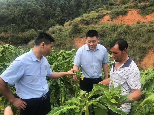 邮储银行攀枝花市分行：专项贷款扣开深山致富门