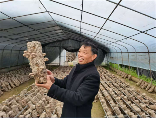 【决胜2020】陕西佛坪：“乡村旅游+产业扶贫”打造地方文旅扶贫新格局