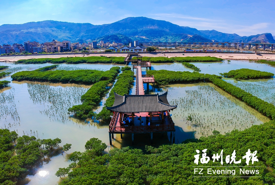 罗源北山村吹响“三重奏”