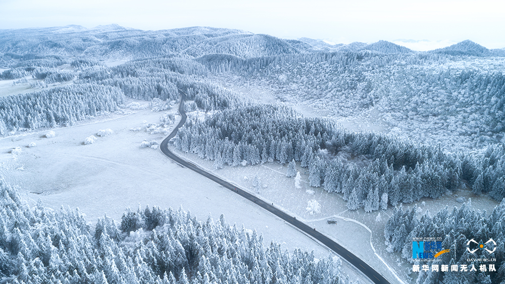 【渝情渝景】重庆：雪落仙女山 如童话世界