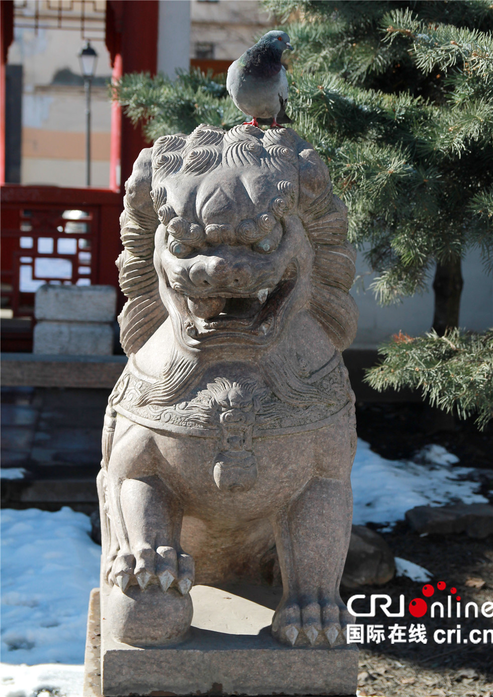 图片默认标题_fororder_Сад дружбы 3