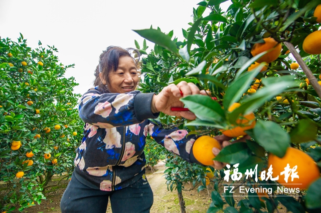 马尾光辉村：同心抒写“光辉故事”