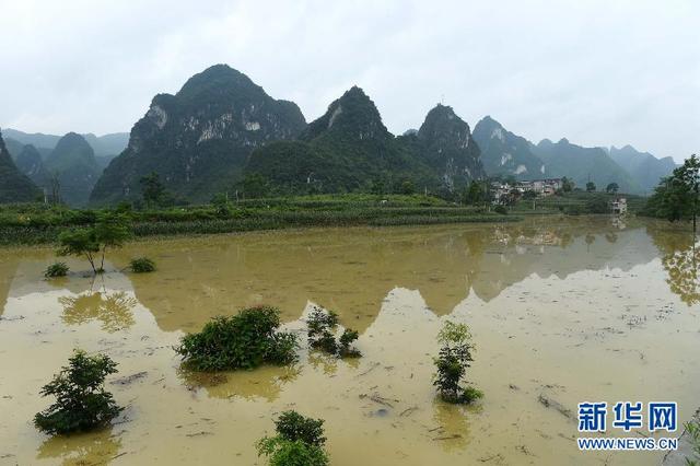 广西多地洪涝灾害致45万余人受灾 3人死亡5人失踪