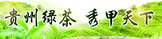 （黔茶贵水）两百万株白茶开采常熟企业茶山认购