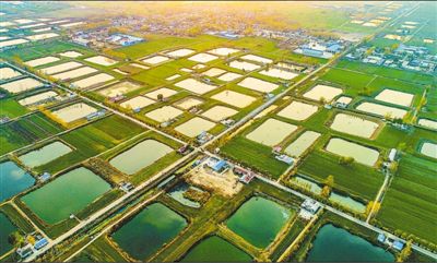 生态治理 助农增收
