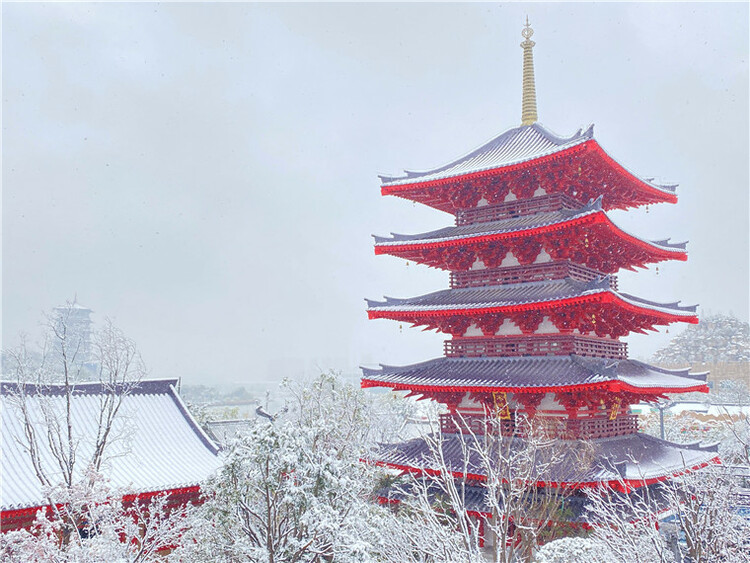 长安一簇雪 映得千古情