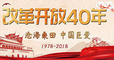 图片默认标题