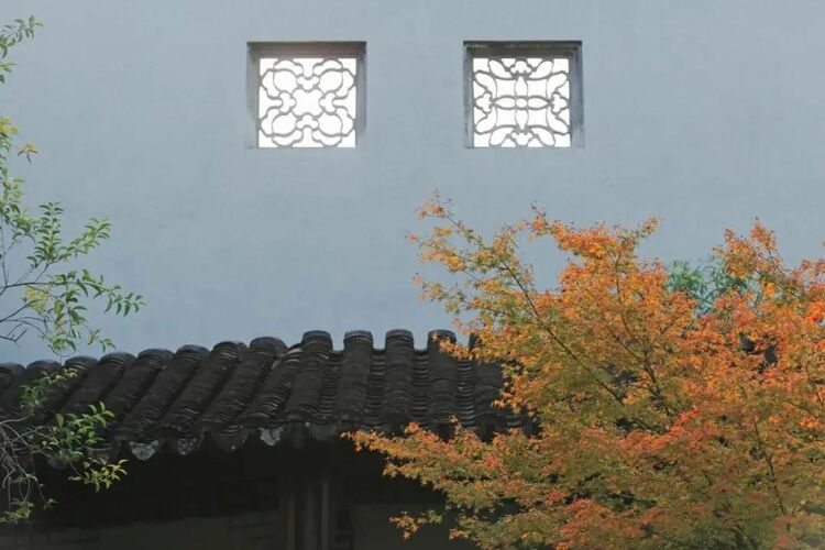 秋“枫”生浦江，落叶满申城！一起打卡沪上“枫”景地
