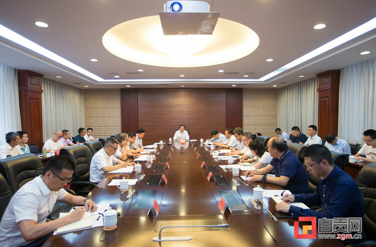 自贡彩灯点亮进博 千年盐都走向世界