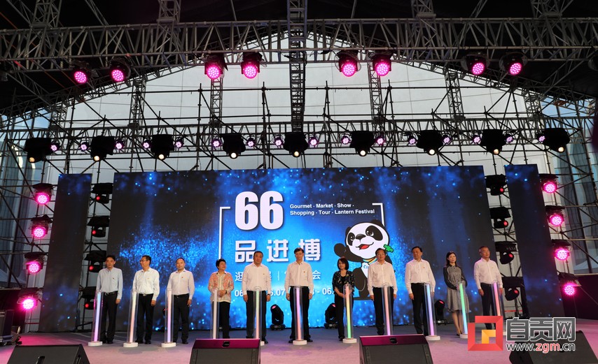 自贡彩灯点亮进博 千年盐都走向世界