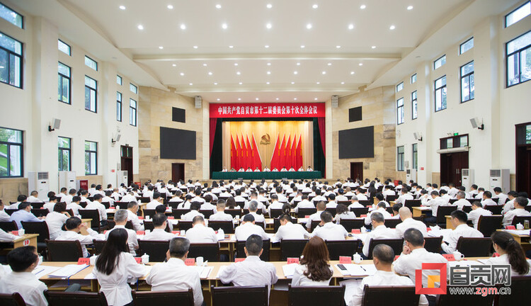 自贡彩灯点亮进博 千年盐都走向世界