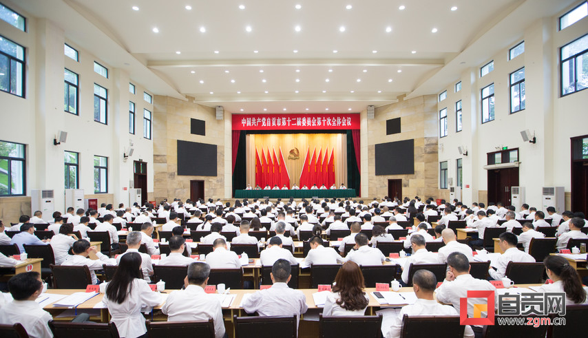 自贡彩灯点亮进博 千年盐都走向世界