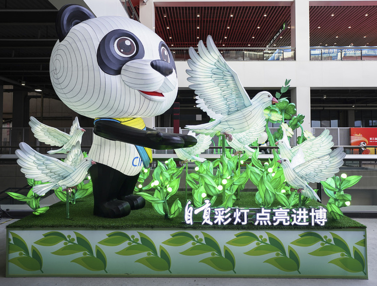 自贡彩灯点亮进博 千年盐都走向世界