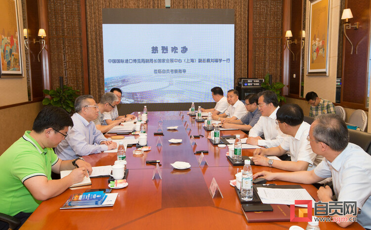 自贡彩灯点亮进博 千年盐都走向世界