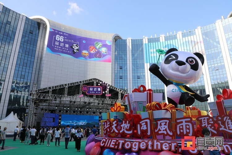 自贡彩灯点亮进博 千年盐都走向世界