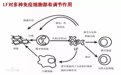 图片默认标题_fororder_2