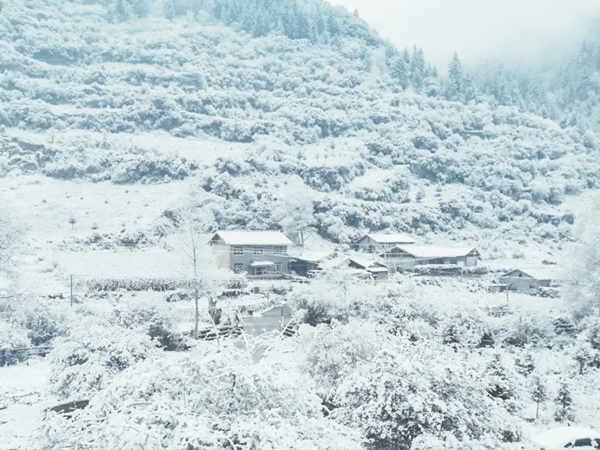 四川茂县：雪中松坪 美轮美奂