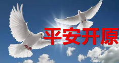 图片默认标题