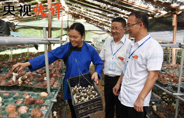 央视快评丨巩固拓展脱贫攻坚成果