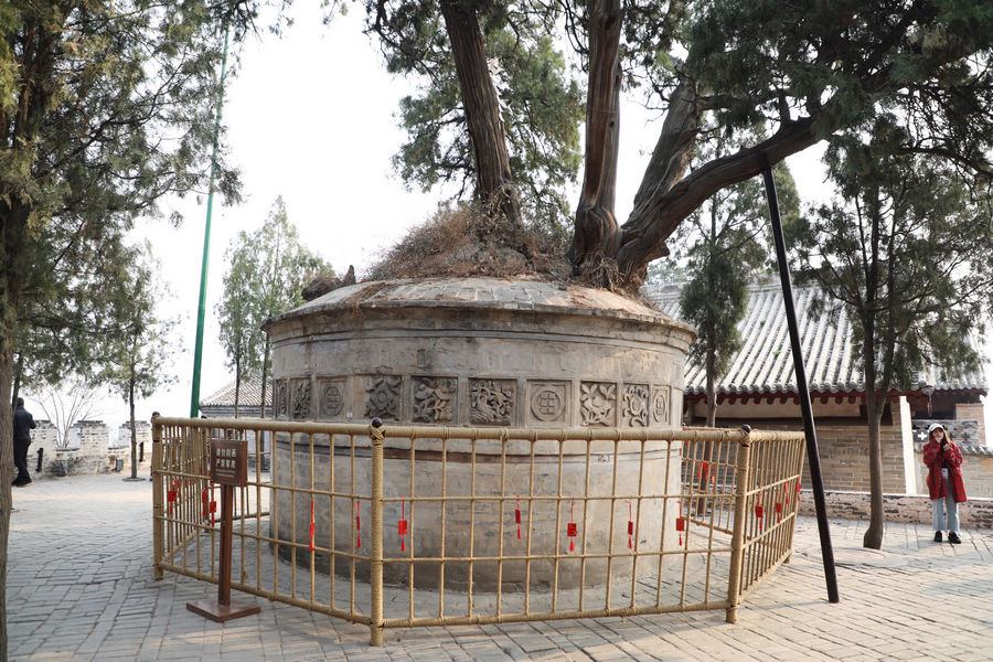 “司马迁精神”历久弥新 采访团成员感叹陕西历史积淀深厚