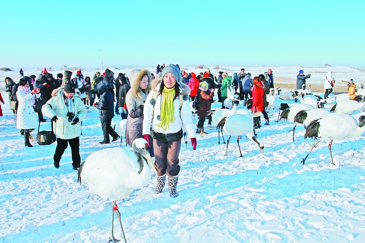 “雪地观鹤”独一无二
