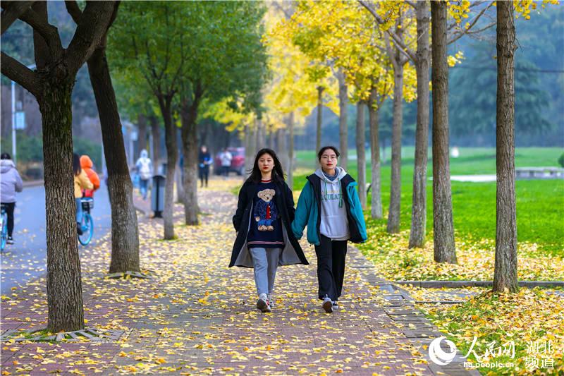 湖北襄阳：多彩冬日校园 绚烂景色如画