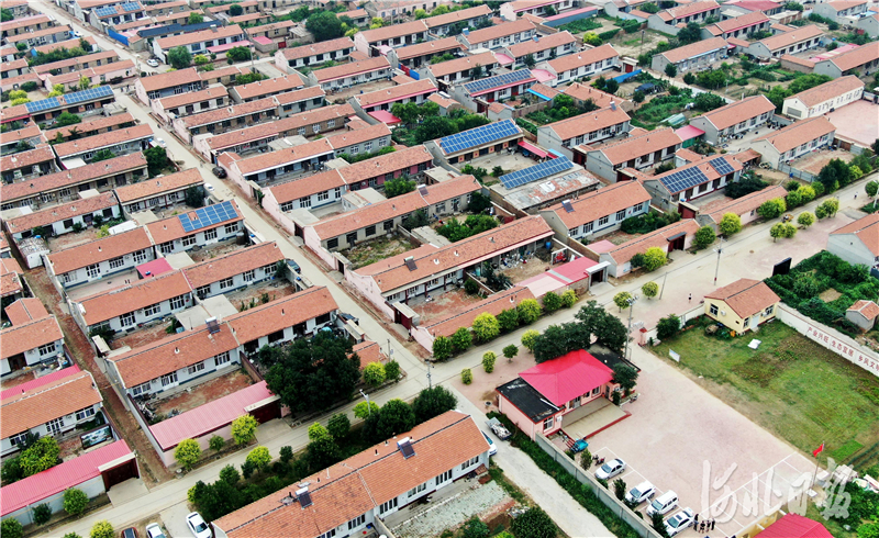 扶贫印记｜河北海兴县张常丰村：盐碱地走出脱贫路