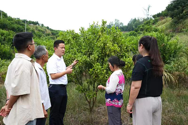 达州大竹县：党建引领脱贫攻坚的“复兴村实践”