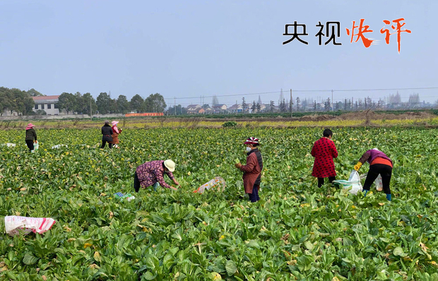 【央视快评】建立与疫情防控相适应的经济社会运行秩序