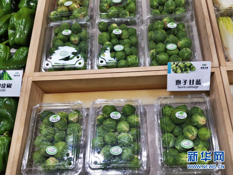 蔬菜总动员，挑战报菜名！这些蔬菜你认识几个？