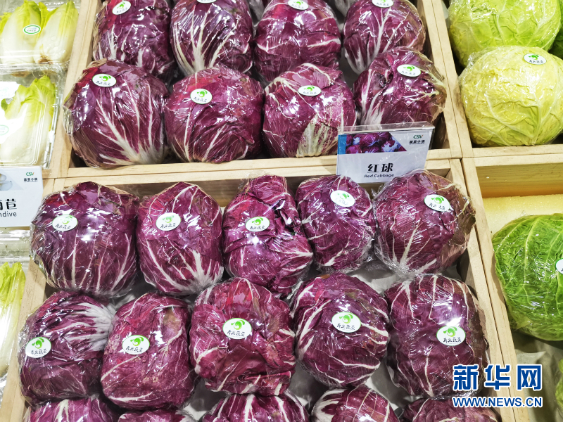 蔬菜总动员，挑战报菜名！这些蔬菜你认识几个？