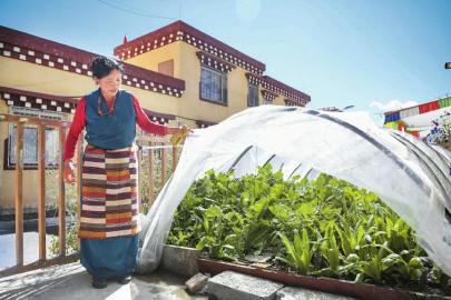 走进甘孜：4A级景区与129个“房东”