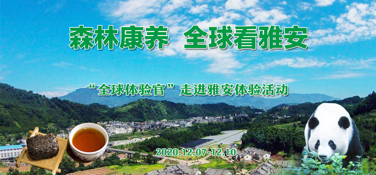 森林康养 全球看雅安——“全球体验官”走进雅安体验_fororder_头图2