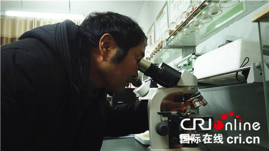 【中国梦•大国工匠篇】“泥腿子”专家岳长平：扎根农村 心情舒畅