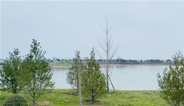 西安航空城集团：坚持项目为王 打造城市综合运营服务商